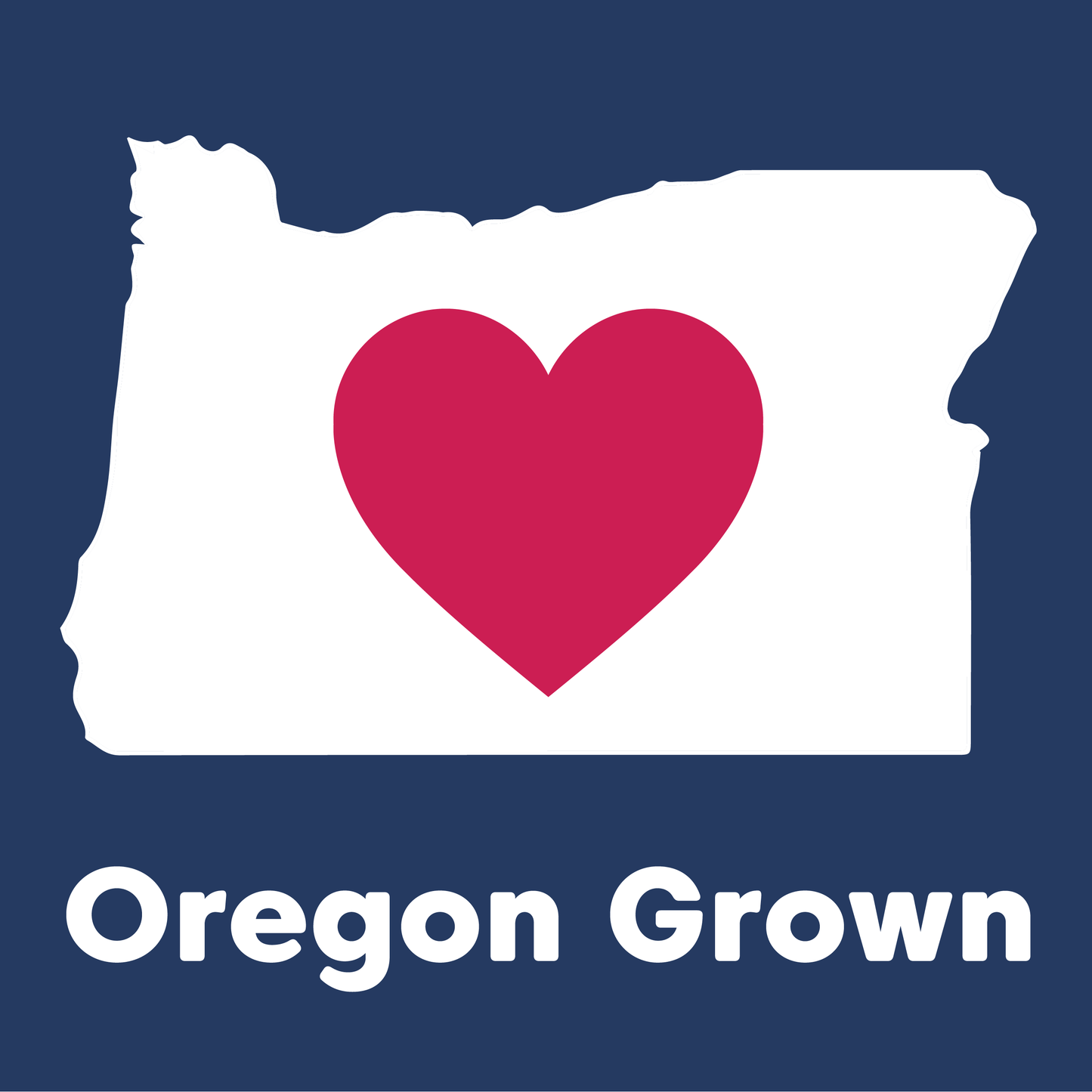 Blueberries - Oregon Grown, Dried, Organic