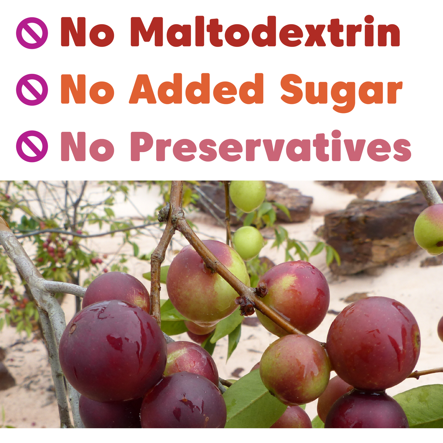 Camu Camu Berry Powder - Organic