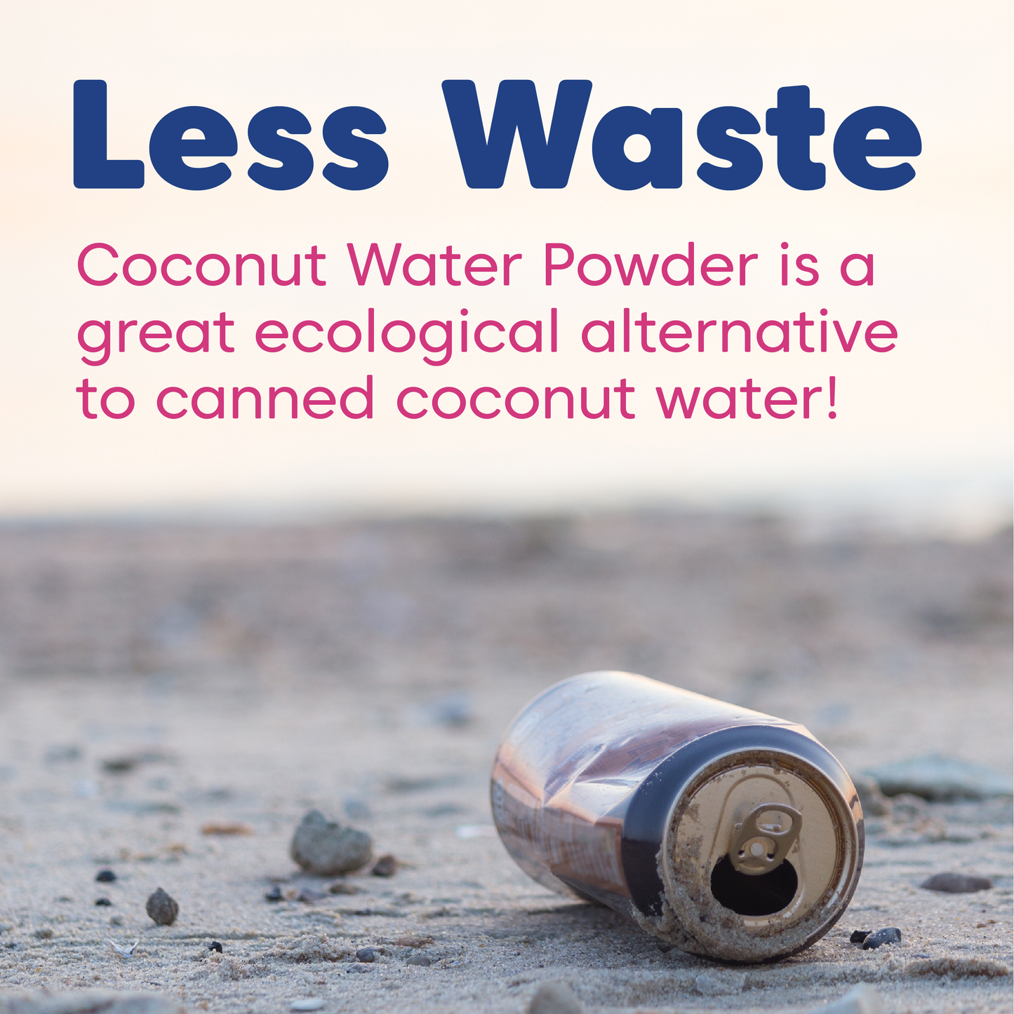 Coconut Water Powder - Evaporated