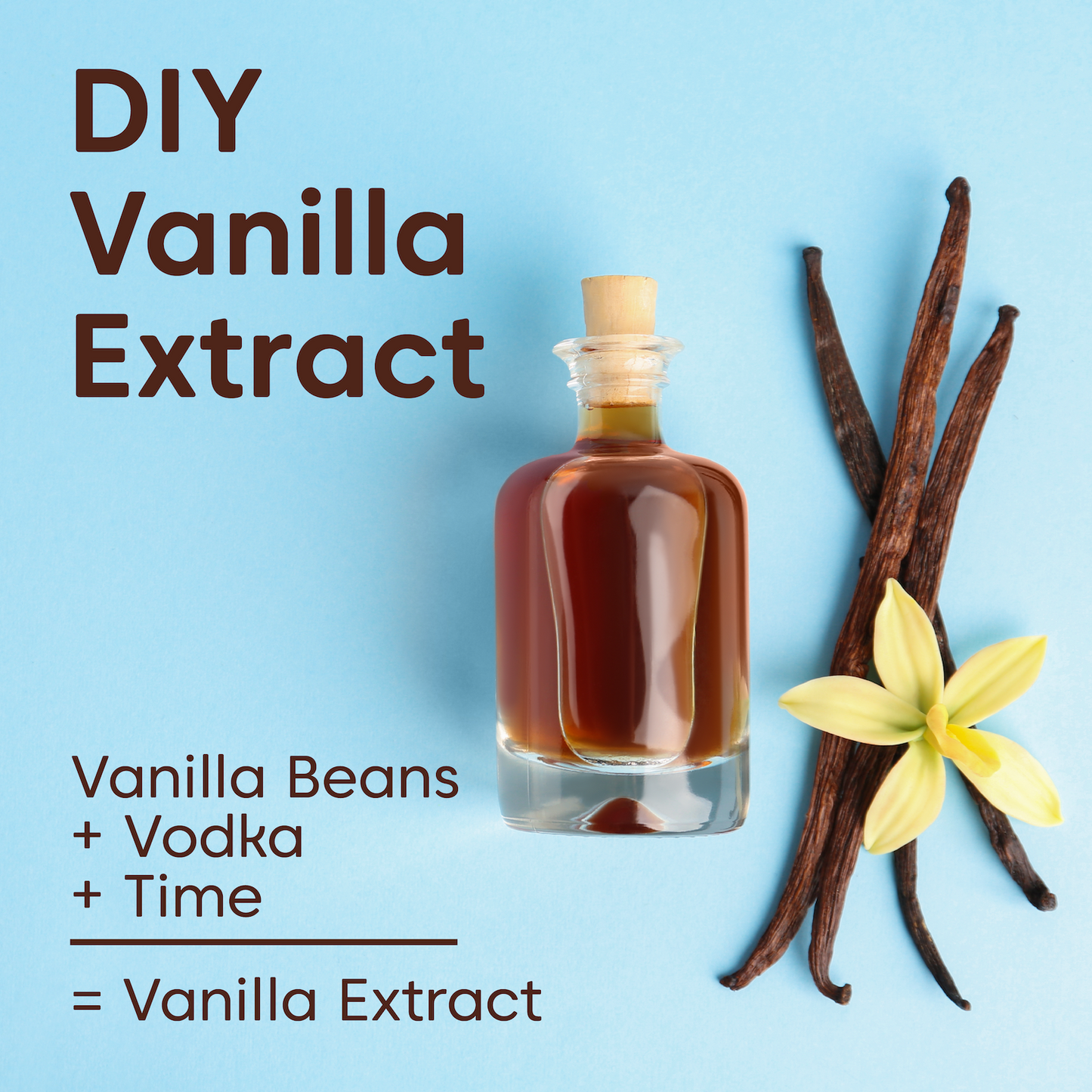 Vanilla Beans - Whole, Raw