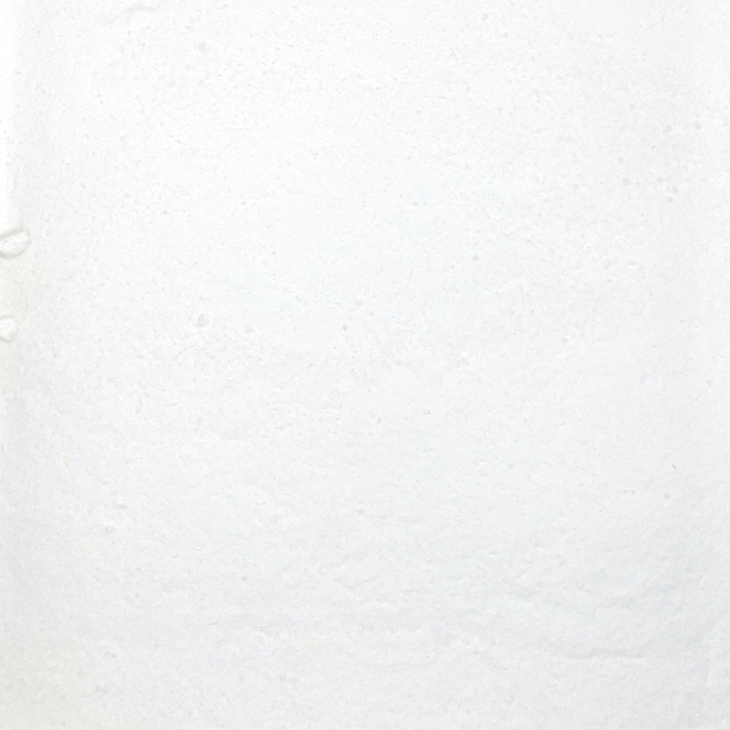 Coconut Water Powder - Evaporated
