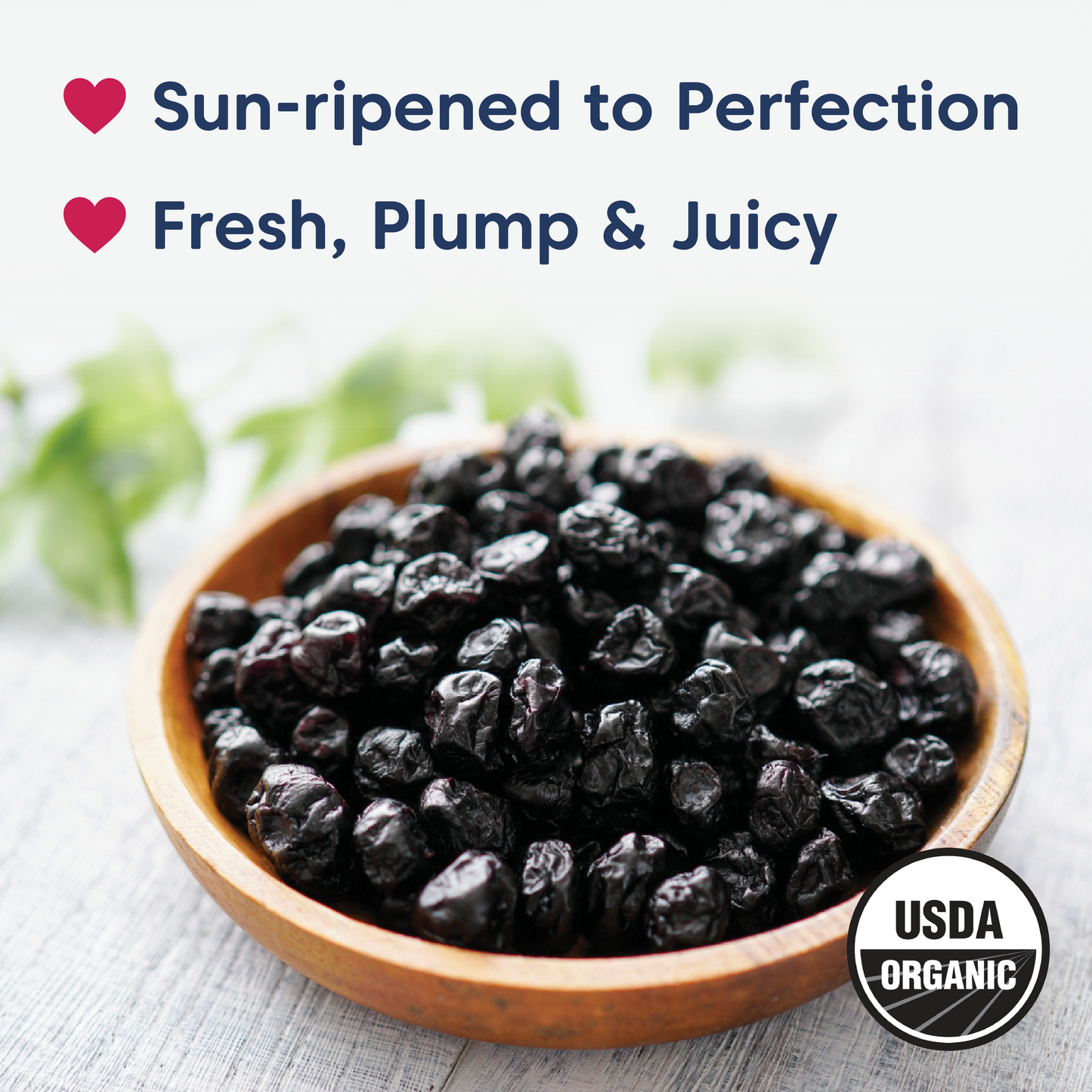 Blueberries - Oregon Grown, Dried, Organic