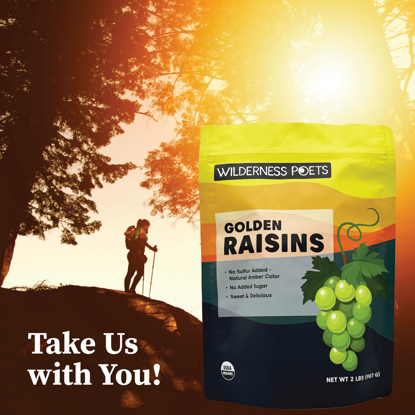 Golden Raisins - Organic, No Sulfur Added