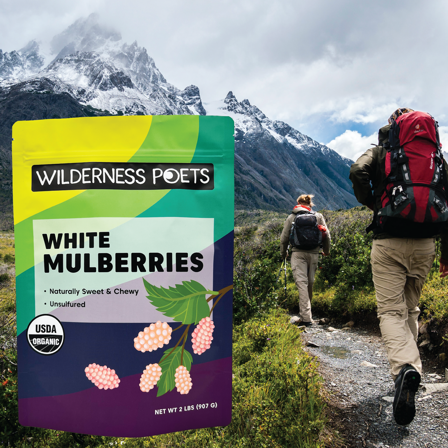 Mulberries - White, Dried, Organic