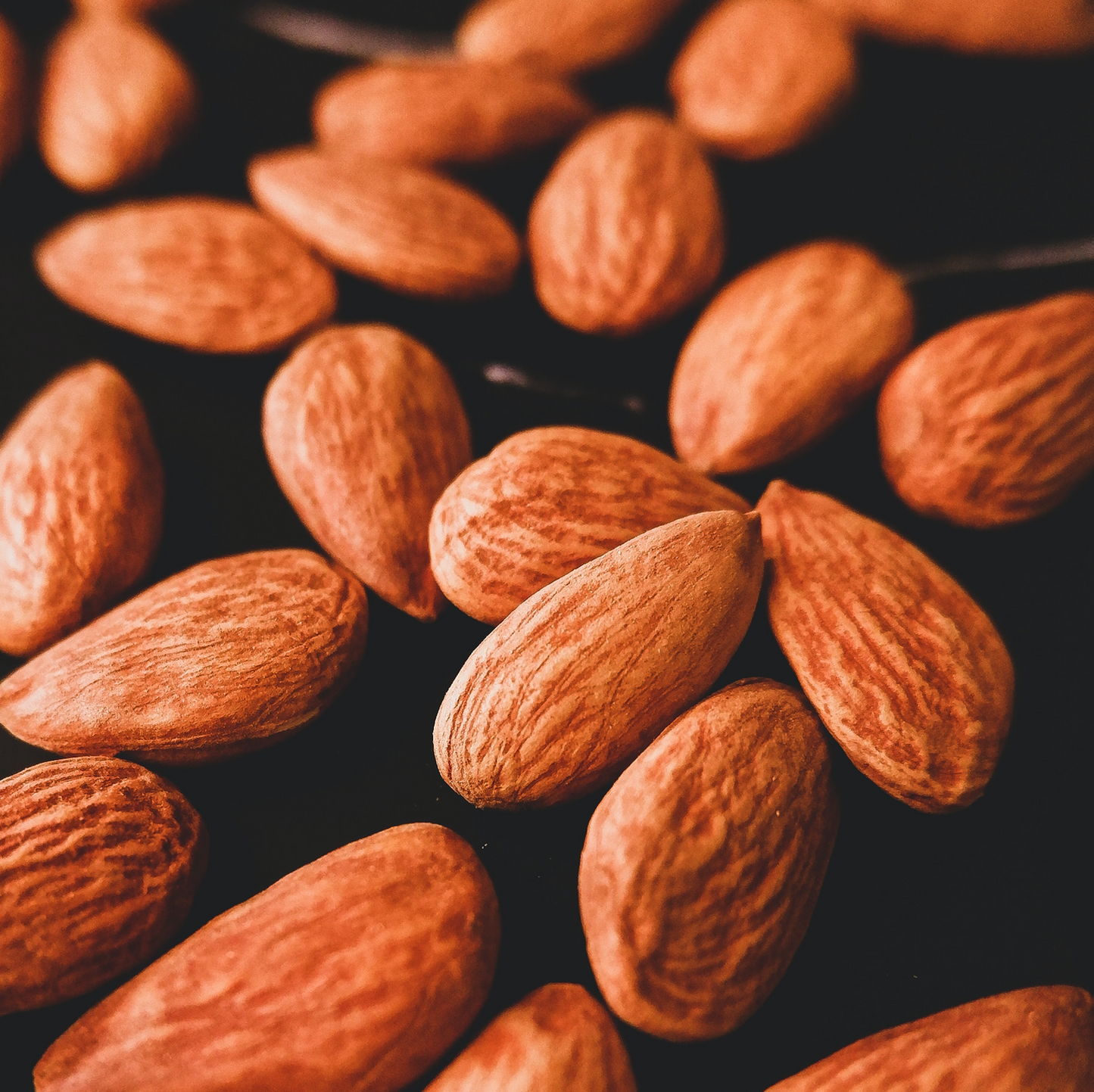 Almonds - Roasted and Diced, California Grown, Organic, "Almond Butter Stock"