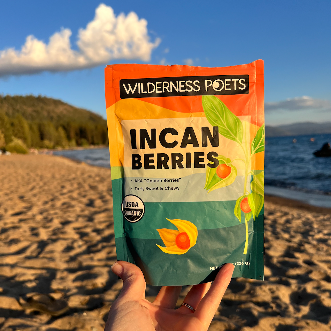Incan Berries - Dried, Organic