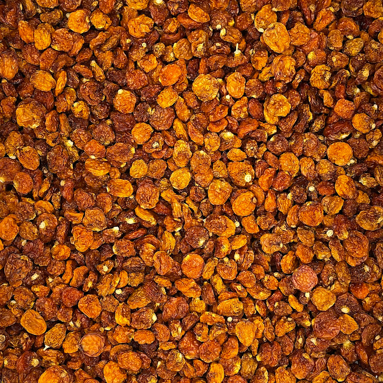 Incan Berries - Dried, Organic – WPbulk.com